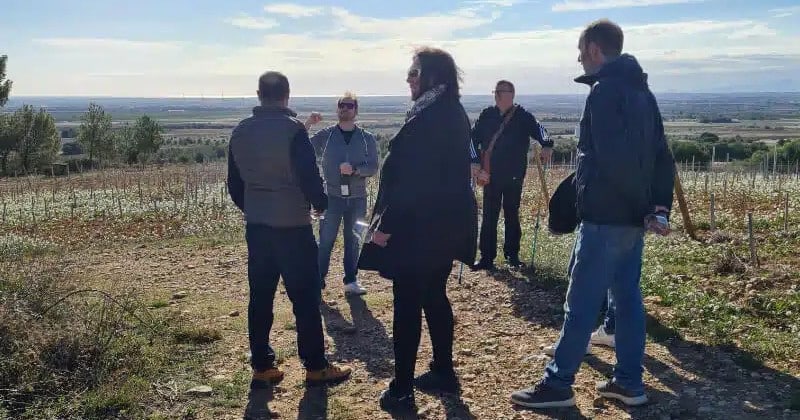 guided wine tour experience rivesaltes