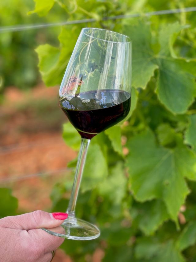 verre de vin rouge catalan